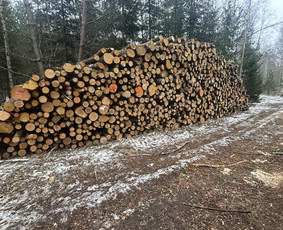 Malkos -ką tik pjautos iš miško - Malkos: gamyba, pristatymas - 3 Malkos: gamyba, pristatymas - Malkos -ką tik pjautos iš miško - 3