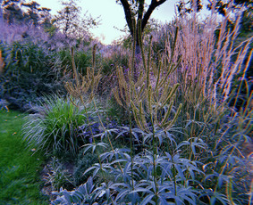 Vaismedžių sodinimas ir priežiūra - Apželdinimo projektavimas, įrengimas, priežiūra - 1