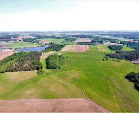 Nekilnojamojo turto brokeris Aidas Rimša - Kitos kategorijos - 4 Kitos kategorijos - Nekilnojamojo turto brokeris Aidas Rimša - 4