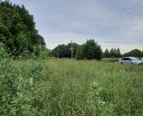 Vejos skarifikavimas, aeravimas, tręšimas, pjovimas - Pievų šienavimas - 4 Pievų šienavimas - Vejos skarifikavimas, aeravimas, tręšimas, pjovimas - 4