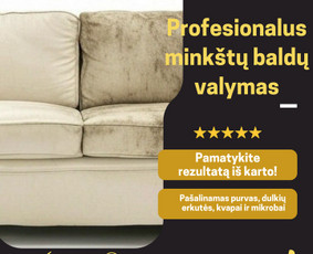Profesionalus minkštų baldų, patalpų valymas / Rimantė Daujotienė / Darbų pavyzdys ID 3843871