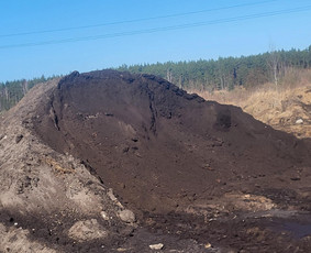 Juodzemis big pak arba durpes ar palaida - Aplinka, sodas - 1 Aplinka, sodas - Juodzemis big pak arba durpes ar palaida - 1