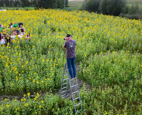 Filmavimas, fotografavimas dronu - Photography and video - 2