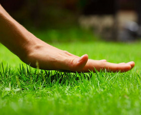 Apželdinimas. Laistymo sistemos ir apšvietimas - Aplinka, sodas - 3 Aplinka, sodas - Apželdinimas. Laistymo sistemos ir apšvietimas - 3