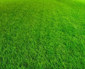 Apželdinimas. Laistymo sistemos ir apšvietimas - Aplinka, sodas - 1 Aplinka, sodas - Apželdinimas. Laistymo sistemos ir apšvietimas - 1