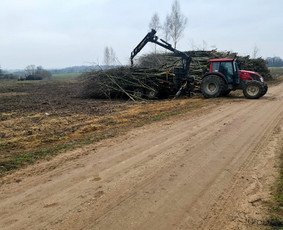 Kelmų,krūmų frezavimas ir sklypų tvarkymas - Apleistų sklypų tvarkymas - 4 Apleistų sklypų tvarkymas - Kelmų,krūmų frezavimas ir sklypų tvarkymas - 4