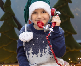 Profesionali Fotografė - Kalėdinė fotosesija - 4 Kalėdinė fotosesija - Profesionali Fotografė - 4
