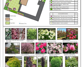 Aplinkos projektai, 3d vizualizacijos, apželdinimas / žiedų gama / Darbų pavyzdys ID 3847263