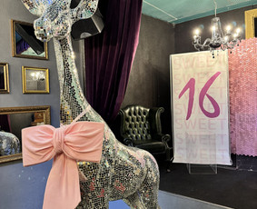 Foto sienelių bei kitų dekoracijų nuoma / Showroomas / Darbų pavyzdys ID 3847537