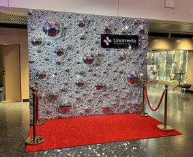 Foto sienelių bei kitų dekoracijų nuoma / Showroomas / Darbų pavyzdys ID 3847541
