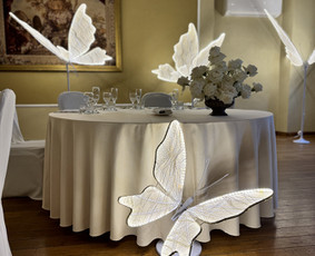 Foto sienelių bei kitų dekoracijų nuoma / Showroomas / Darbų pavyzdys ID 3847579