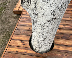 Terasos / Arturas / Darbų pavyzdys ID 3848085