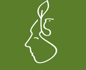 Sveikata, gydymas - Individuali psichodinaminė/psichoanalitinė psichoterapija - 1