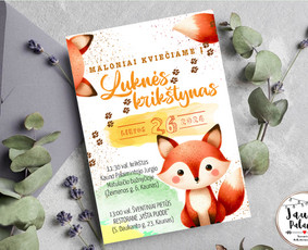 Maketavimo paslaugos / Eglė Muralienė / Darbų pavyzdys ID 3850911