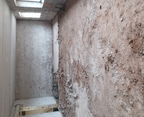 Griovimo darbai šiukšliu išvežimas / Audrius / Darbų pavyzdys ID 3851307