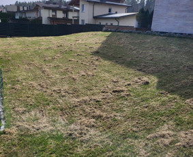 Kokybiškas aplinkos tvarkymas / Aplinkos pulsas / Darbų pavyzdys ID 3851411