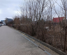 Kokybiškas aplinkos tvarkymas / Aplinkos pulsas / Darbų pavyzdys ID 3851417