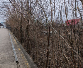 Kokybiškas aplinkos tvarkymas / Aplinkos pulsas / Darbų pavyzdys ID 3851421