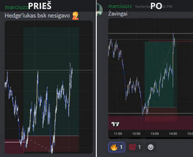 Finansų / Treidinimo / Spekuliavimo Nemokamai Mokymai / TRADING KLUBAS / Darbų pavyzdys ID 3852443