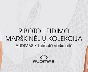 Video Montavimas ir Animacija (aukštos kokybės) / Danielius / Darbų pavyzdys ID 3853283