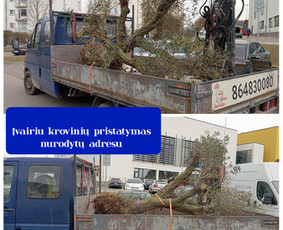 Jurveža - Patikimas / Gera kaina garantuota / Jurijus / Darbų pavyzdys ID 3853295