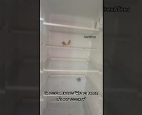 Profesionalus Valymas Jūsų Patogumui S&s / Spick&Span / Darbų pavyzdys ID 3855113
