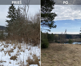 Sklypų tvarkymas: medžių ir krūmų pjovimas su išvežimu. / Albertas Rakuckis / Darbų pavyzdys ID 3855691