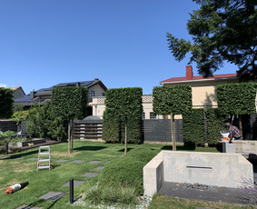 Medžių genėjimas, purškimas, gyvatvorių karpymas, sodo priež / Justas Kubilius / Darbų pavyzdys ID 3856159