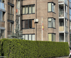 Medžių genėjimas, purškimas, gyvatvorių karpymas, sodo priež / Justas Kubilius / Darbų pavyzdys ID 3856181