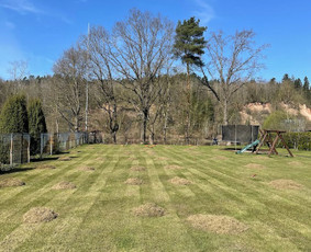 Medžių genėjimas, purškimas, gyvatvorių karpymas, sodo priež / Justas Kubilius / Darbų pavyzdys ID 3856275