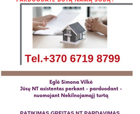 Kitos kategorijos - NT asmeninė vadybininkė - 3