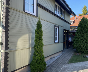Mediniu fasadu dažymas / Marius / Darbų pavyzdys ID 3857501
