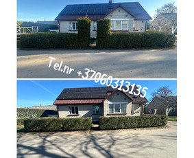 Medžių genėjimas*gyvatvorių karpymas*aplinkos tvarkymas / Zigmas / Darbų pavyzdys ID 3861177