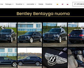 Internetinės svetainės, el. parduotuvės, Seo, Ads, Di-pro. / Infotecheris / Darbų pavyzdys ID 3861197
