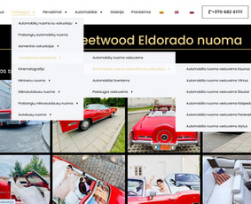 Internetinės svetainės, el. parduotuvės, Seo, Ads, Di-pro. / Infotecheris / Darbų pavyzdys ID 3861199