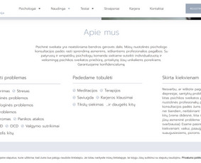 Internetinės svetainės, el. parduotuvės, Seo, Ads, Di-pro. / Infotecheris / Darbų pavyzdys ID 3861203
