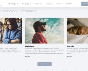Internetinės svetainės, el. parduotuvės, Seo, Ads, Di-pro. / Infotecheris / Darbų pavyzdys ID 3861207