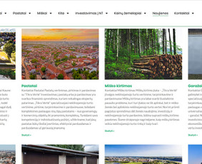 Internetinės svetainės, el. parduotuvės, Seo, Ads, Di-pro. / Infotecheris / Darbų pavyzdys ID 3861237
