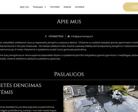 Internetinės svetainės, el. parduotuvės, Seo, Ads, Di-pro. / Infotecheris / Darbų pavyzdys ID 3861289