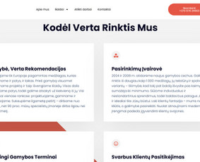 Internetinės svetainės, el. parduotuvės, Seo, Ads, Di-pro. / Infotecheris / Darbų pavyzdys ID 3861295