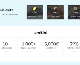 Internetinės svetainės, el. parduotuvės, Seo, Ads, Di-pro. / Infotecheris / Darbų pavyzdys ID 3861311