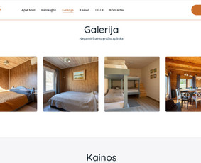 Internetinės svetainės, el. parduotuvės, Seo, Ads, Di-pro. / Infotecheris / Darbų pavyzdys ID 3861335