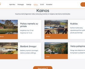 Internetinės svetainės, el. parduotuvės, Seo, Ads, Di-pro. / Infotecheris / Darbų pavyzdys ID 3861337