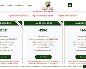 Internetinės svetainės, el. parduotuvės, Seo, Ads, Di-pro. / Infotecheris / Darbų pavyzdys ID 3861385