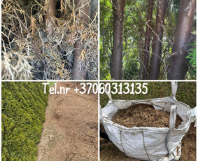 Medžių genėjimas*gyvatvorių karpymas*aplinkos tvarkymas / Zigmas / Darbų pavyzdys ID 3863771