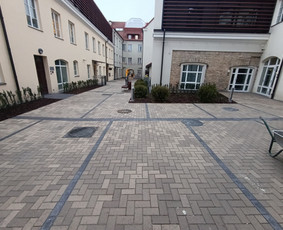 Apželdinimas Vejos įrengimas Trinkelių klojimas gerbūvio - Aplinkos tvarkymas, apželdinimas - 2 Aplinkos tvarkymas, apželdinimas - Apželdinimas Vejos įrengimas Trinkelių klojimas gerbūvio - 2