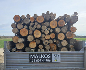 Malkos - Malkos rąstais - 2 Malkos rąstais - Malkos - 2