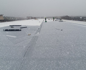 Plokščių Stogų Dengimas Pvc, Epdm ir bitumine Danga / Tvirti stogai / Darbų pavyzdys ID 3866005