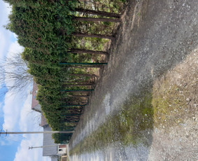 Tinklinės tvoros - Tvoru ir Vartu Statymas - 2