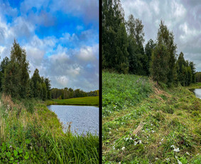 Pievų šienavimas - Vėjos, žolės pjovimas. Žolės skarifikavimas. - 1